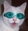 gamecat's Avatar