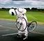 cycle.stig's Avatar