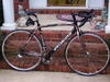 roccobike's Avatar