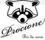 Procione's Avatar