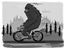 BikeSquatch's Avatar